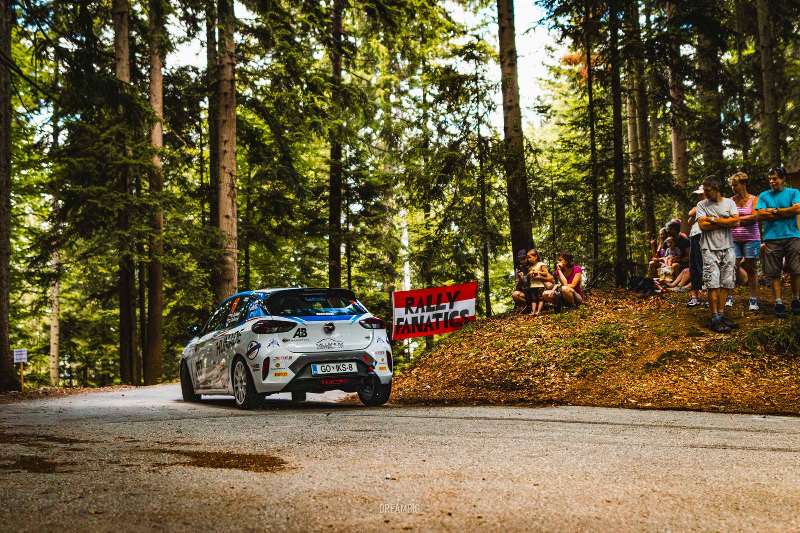 12. RALLY ŽELEZNIKI